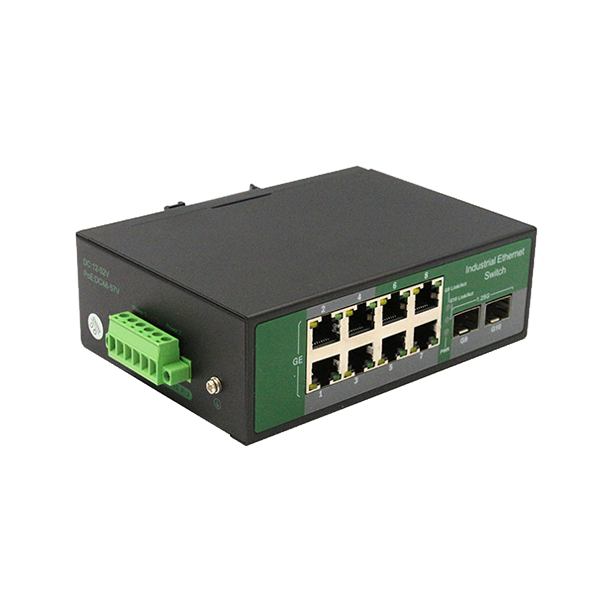 WS1010E-2G8T-S